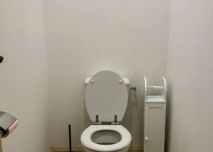 T3 Situe Pres De La Place Carnot