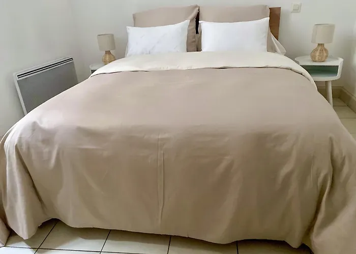 T3 Situe Pres De La Place Carnot